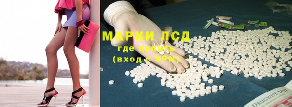 прущие грибы Балабаново