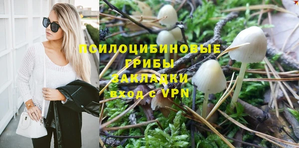 прущие грибы Балабаново