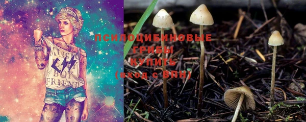 прущие грибы Балабаново