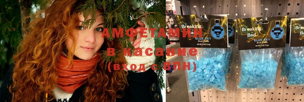 прущие грибы Балабаново