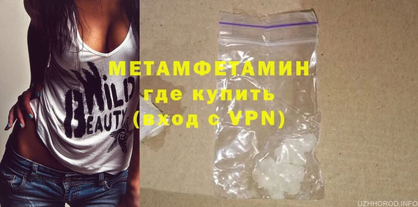 прущие грибы Балабаново