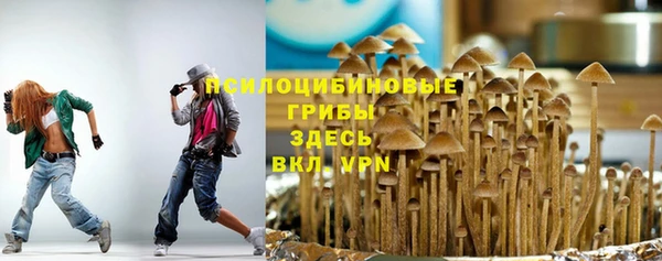 прущие грибы Балабаново
