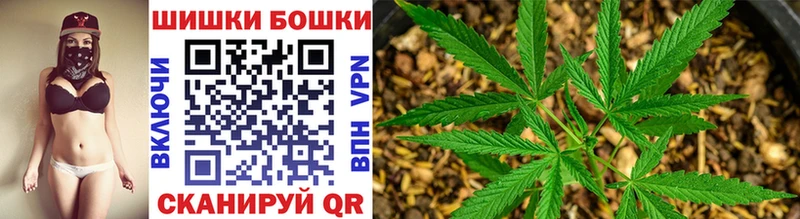 Купить где  Нягань  Бошки Шишки сатива 
